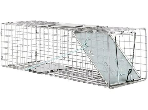 3 Best Rabbit Traps (*2024 Review*): Humane or Lethal Rabbit Removal?