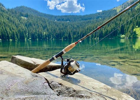 Best Travel Fishing Rods for International Trips