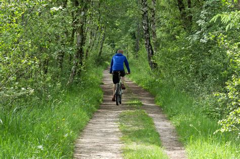 Free Images : walking, hiking, meadow, walk, spring, green, holiday, jogging, mountain bike ...