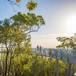 Mount Archer National Park Explore Rockhampton