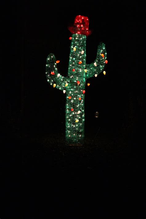 Outdoor Cactus Christmas Tree | Cowboy christmas, Christmas lights, Cactus christmas trees