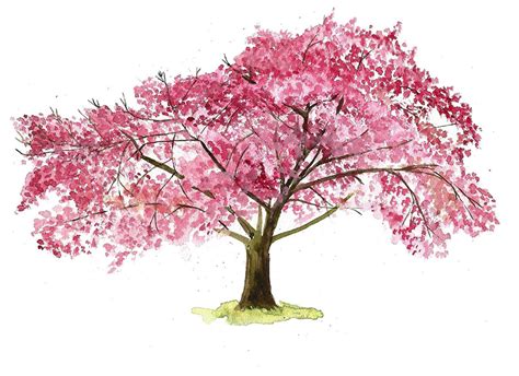 cherry blossom - Google Search | Cherry blossom wall art, Cherry ...