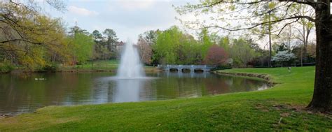 Extended Stay Buckhead | Residence Inn Atlanta Buckhead/Lenox Park