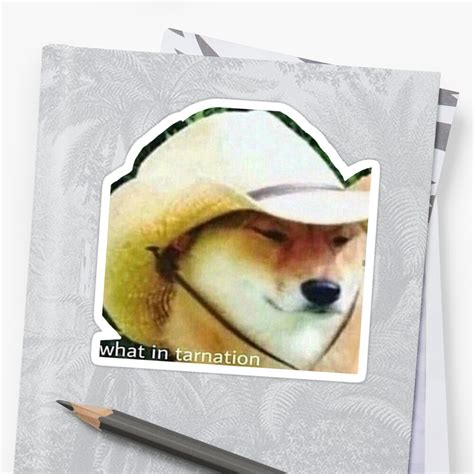 "what in tarnation - dog" Sticker by adidasrowan | Redbubble