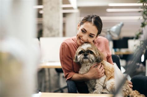 Officeology on LinkedIn: 5 Best Office Dog Breeds for Workplace Wellbeing | Officeology