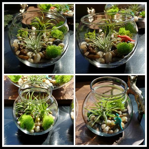 April's Homemaking: Easy Air Plant Terrariums