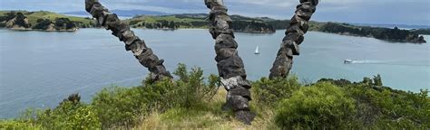 Rotoroa Island South Path: 12 Reviews, Map - Auckland, New Zealand | AllTrails