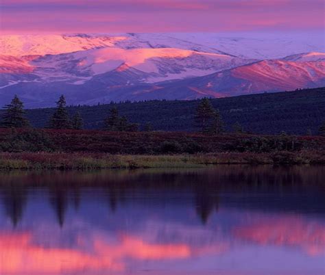 PURPLE MOUNTAINS MAJESTY | GOD'S CREATIONS | Pinterest | Purple mountain majesty