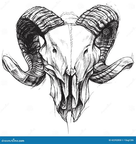 Ram Skull stock vector. Illustration of effective, effect - 42292850