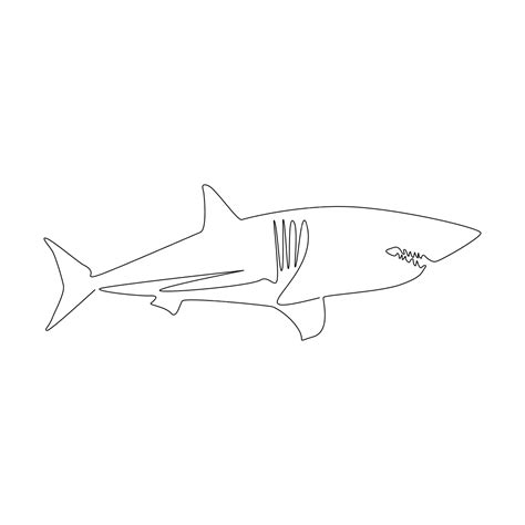 Shark Continuous Line Vector, Shark Continuous Line Drawing, Continuous Line PNG and Vector with ...