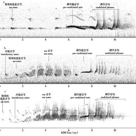 Comparison of eastern black crested gibbon male sequences when female ...