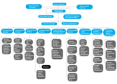 Organizational Structure - Cooperative Bank of Oromia in 2021 | Organizational structure ...