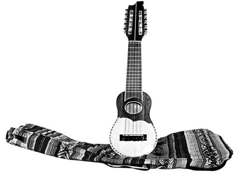 What is Charango? The Definition for Charango