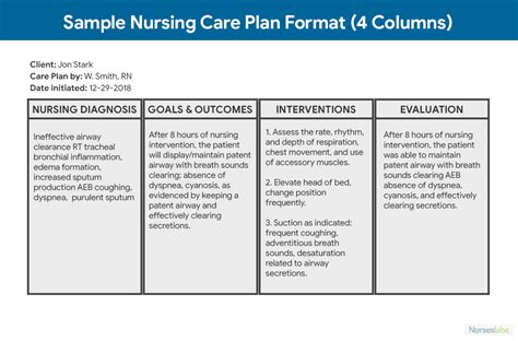 Nursing Care Map Examples