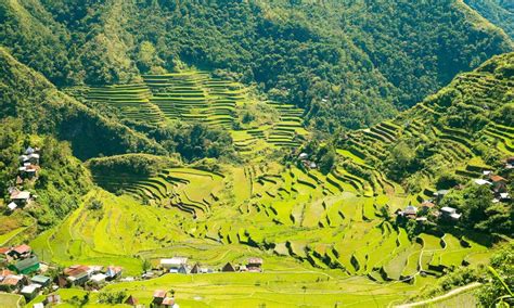 Discover Banaue Rice Terraces - Manila