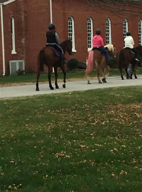 Guided Walking Rides - Cozy Quarters Farm