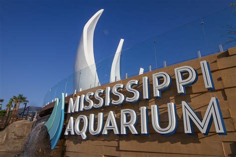 Mississippi Aquarium (Gulfport) - All You Need to Know BEFORE You Go