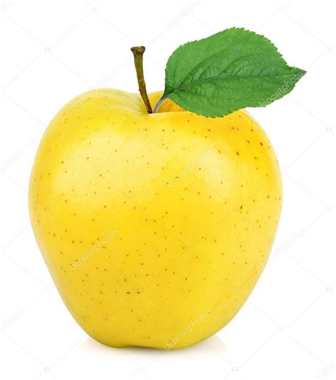 Yellow apple one Stock Photo by ©photoshkolnik 97398906