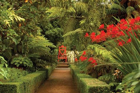 The Gardens at Larnach Castle - Larnach Castle & Gardens - New Zealand's only castle, visit us ...