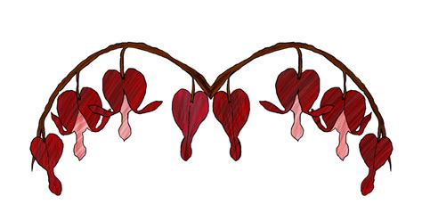 Bleeding Heart Flower Drawing | Free download on ClipArtMag