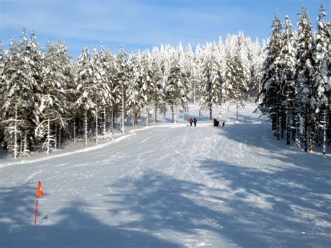 Golfing In A Winter Wonderland • GolfStinks