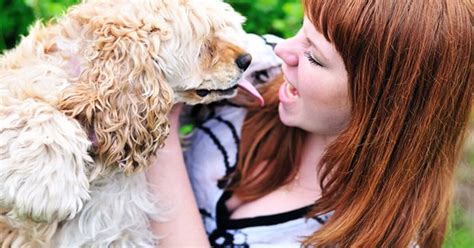 How Do Dogs Show Affection? | PetGuide