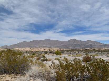 Nevada's Ice Age Fossils State Park Opening Date Is Almost Here - Thrillist