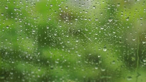 gentle rain sounds for sleeping 3 hours | Relaxing Rain on window ...