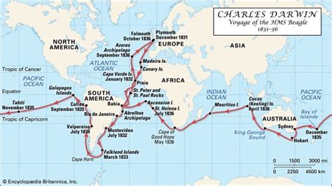 Charles Darwin Facts | Britannica