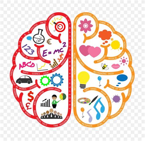 Handedness Lateralization Of Brain Function Left-handed International ...