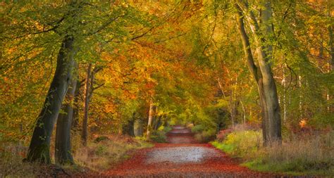 6 Glorious Autumn Walks in Wiltshire - Visit Wiltshire