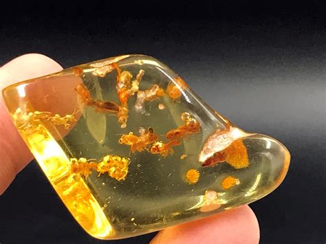 Sold Price: Amber, Fossil, Natural, Collectible, Mineral, Specimen - February 2, 0120 6:00 PM CST