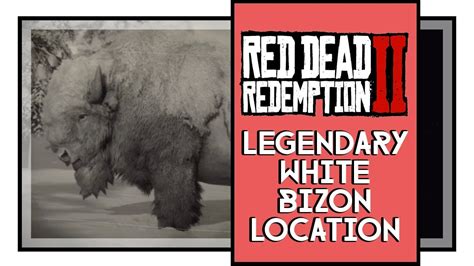 Red Dead Redemption 2 Legendary White Bison Location - YouTube