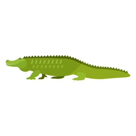 Alligator PNG Images Transparent Free Download | PNGMart.com