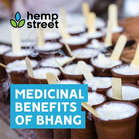 Medicinal Benefits of Bhang - Hempstreet