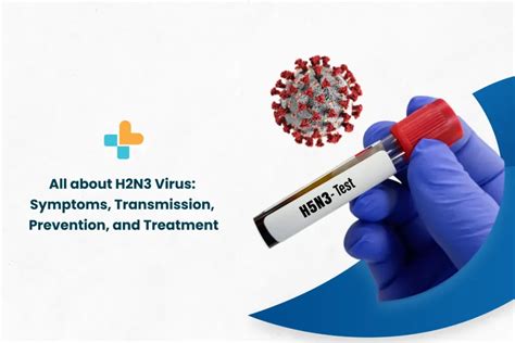 All about H3N2 Virus: Symptoms, Transmission, Prevention, and Treatment ...