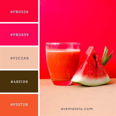 Watermelon shake Color Palette 199 - Ave Mateiu