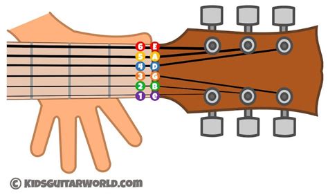 Knowing the names of strings on a guitar is very essential and one of the first basics you need ...