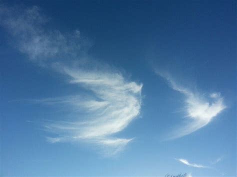 Pin by Renee Robertson on Angels in nature | Angel clouds, Angel pictures, Angel sightings