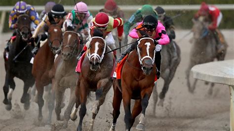 Wednesday Horse Racing Picks & Exotics: 3 Best Bets for Gulfstream Park ...