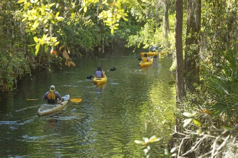 12 Gorgeous Florida Rivers You Must See - Florida Trippers