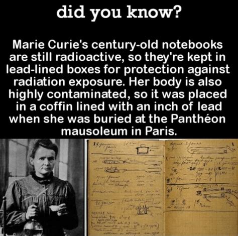 Marie Curie's century-old notebooks are still radioactive, so they're kept in lead-lined boxes ...