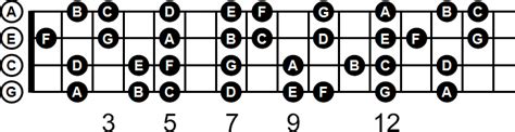 Major notes on the fret board - ♪ Little Ukulele