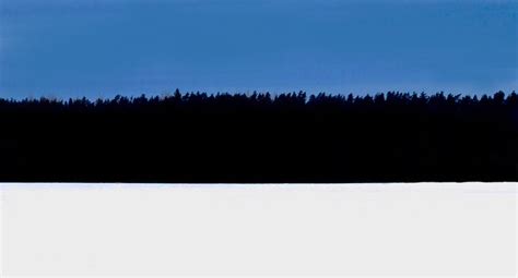 Estonian_flag_winter_forest.jpg (1098×591) | Estonia, Winter forest, Estonian flag