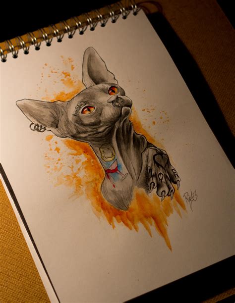 Tattooed sphynx cat by RykA44 on DeviantArt