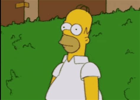 Hiding Meme GIF - Hiding Meme Homer - Discover & Share GIFs