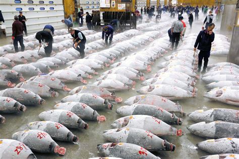 End of an Era for Tokyo’s Iconic Tsukiji Fish Market - Bloomberg