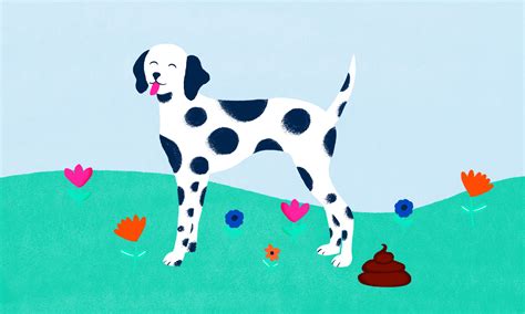 Dog Poop Color Chart: Is Your Dog's Poop Healthy? | BeChewy