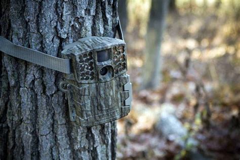 Best Trail Camera for Home Security & Birding! [Top 5 Reviewed ...