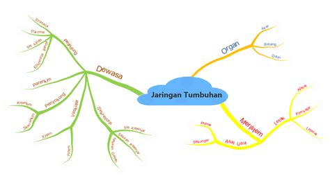 BLOG: Mind Map Jaringan Tumbuhan